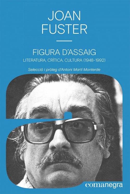 Figura d'assaig