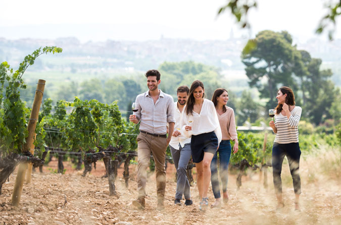 Bodegues Torres, cinc generacions dedicades al vi i la vinya