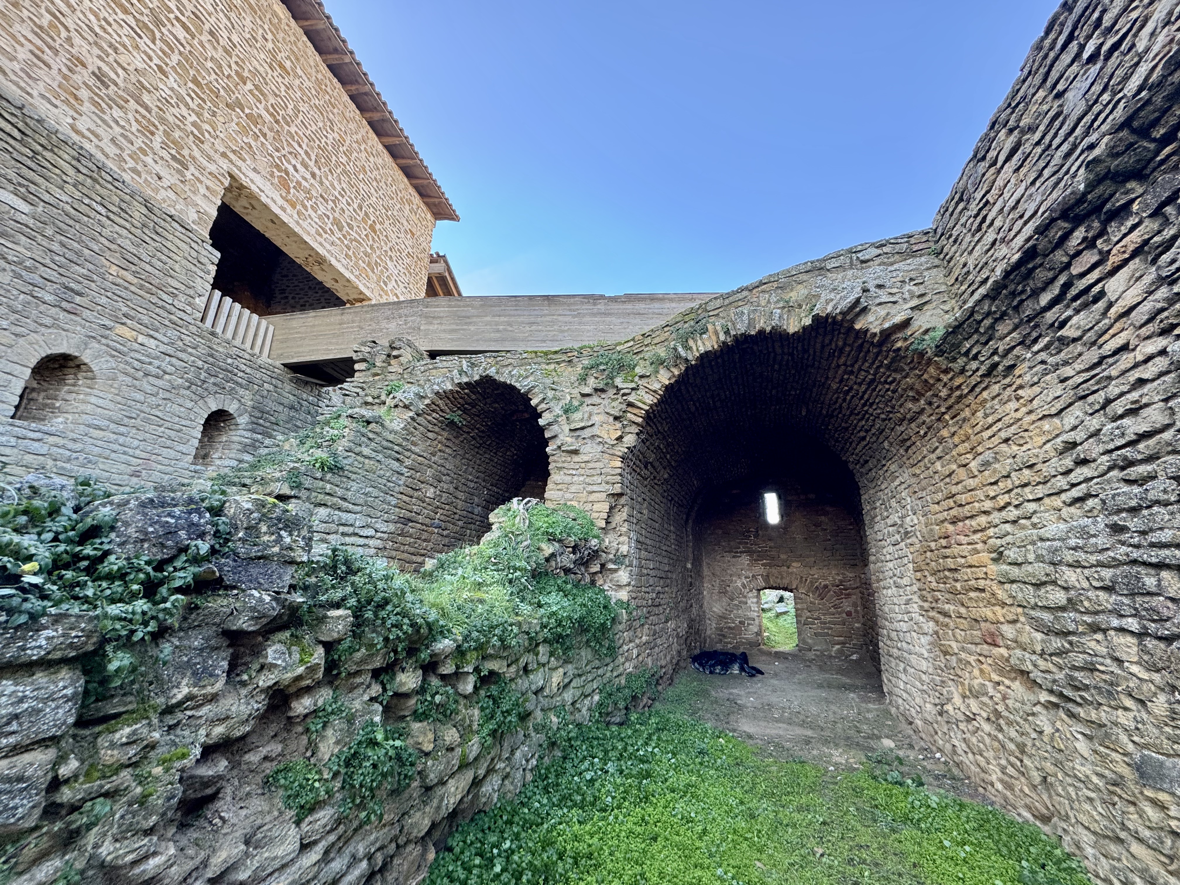 Restes del palau residencial d'Arnau i Arsenda. / A.F.