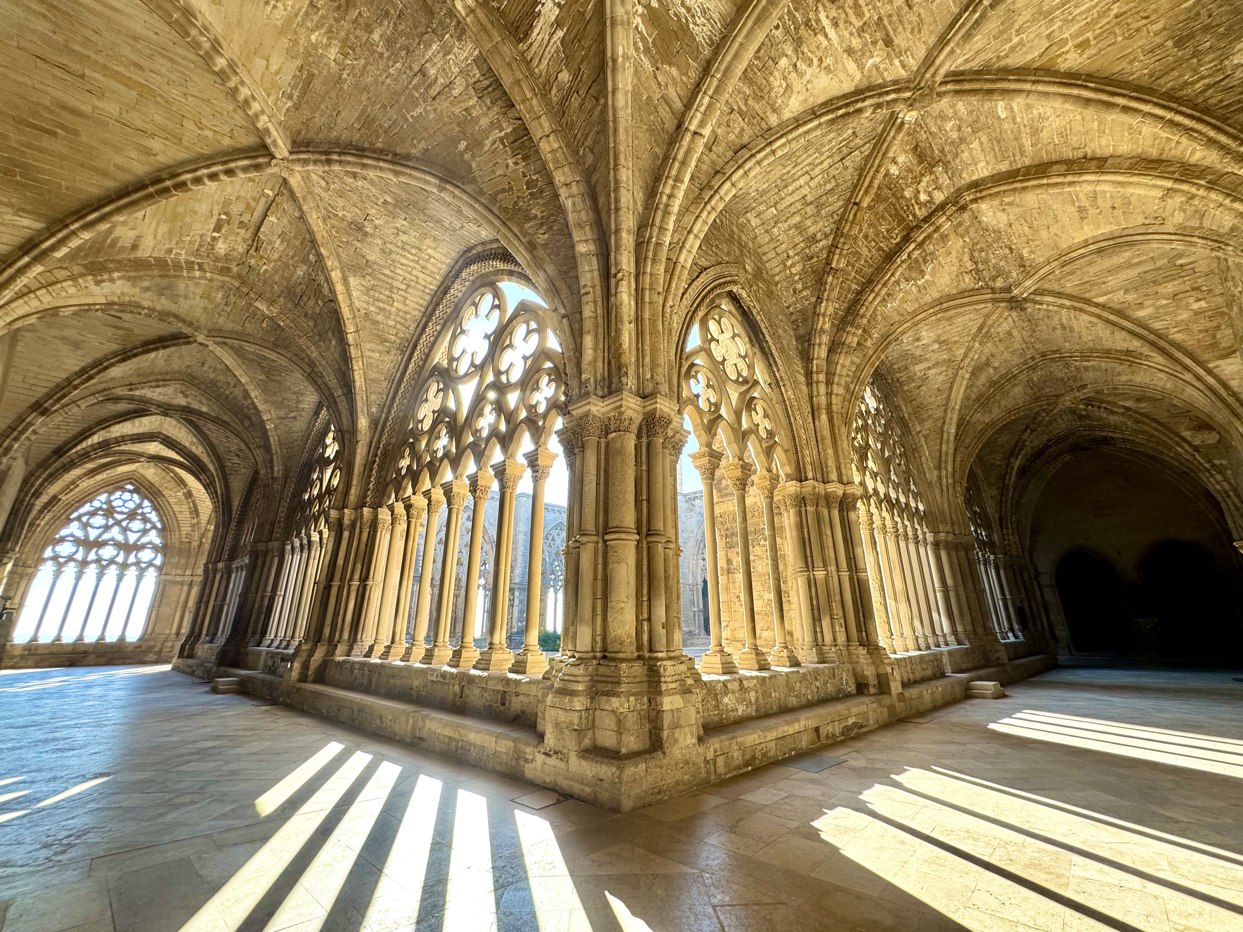 Una imatge del magnífic claustre de la Seu Vella. / A.F.