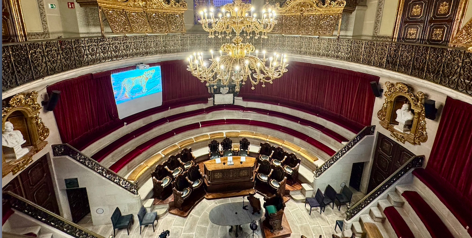 Dolors Aleu, metgessa en un món d’homes