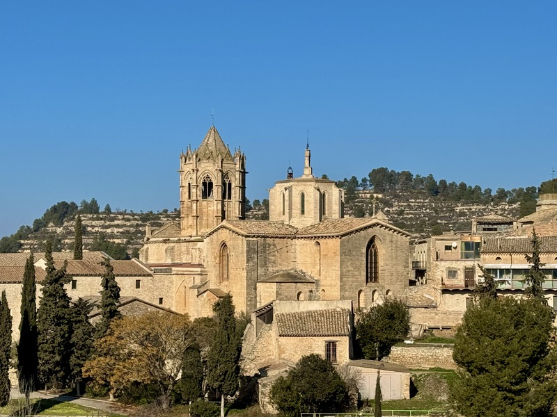 Violant d’Hongria, la reina que va triar Vallbona per al seu descans etern